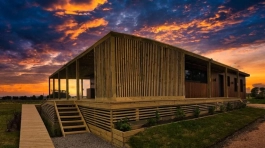 CMD SOLUCIÓN IN SITU